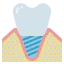 Dental implant icon 64x64