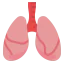 Lungs icon 64x64
