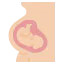 Pregnant icon 64x64