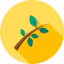 Branch icon 64x64