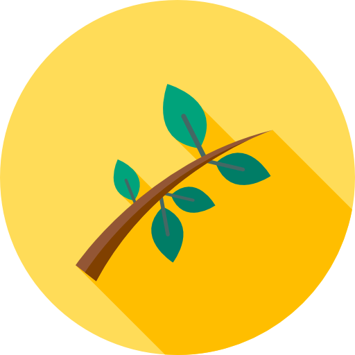 Branch icon