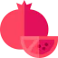 Pomegranate Symbol 64x64