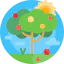 Fruit tree icon 64x64