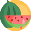 Watermelon biểu tượng 64x64