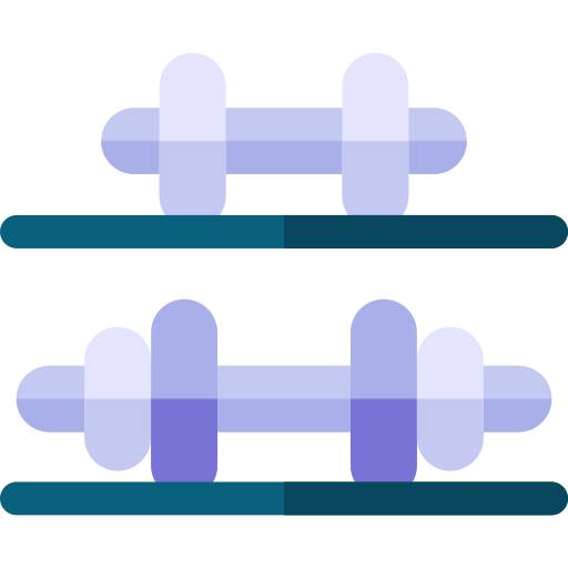 Dumbbells icon