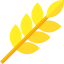 Branch 图标 64x64