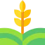 Branch 图标 64x64