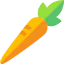 Carrot 图标 64x64