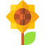 Blossom 图标 64x64