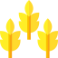 Branch 图标 64x64