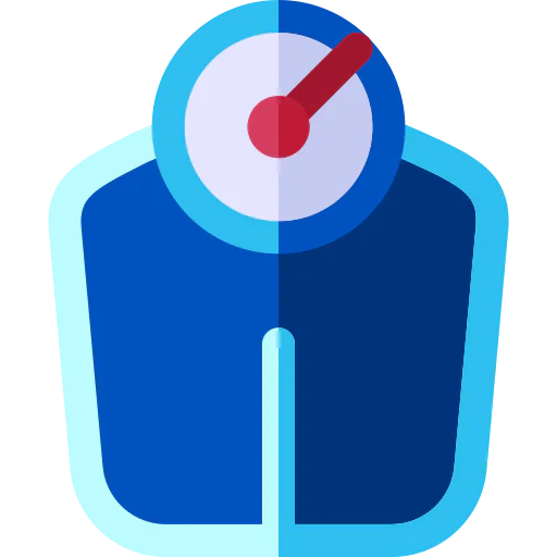 Scale icon