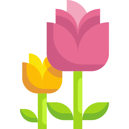 Blossom 图标