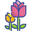 Blossom ícono 64x64