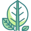 Botanical icon 64x64