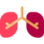 Lungs icon 64x64