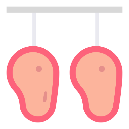 Butchery biểu tượng