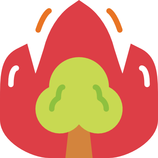 Fire icon