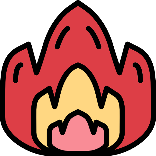 Fire icon