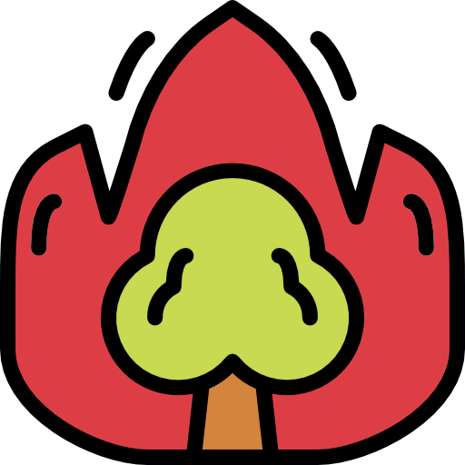 Fire icon