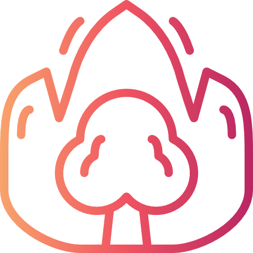 Fire icon