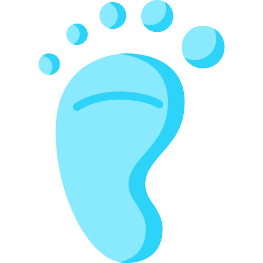 Footprint icon