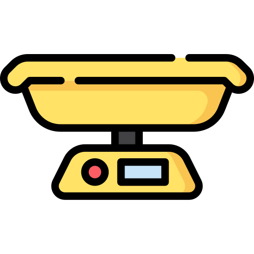 Scale icon