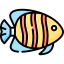 Fish 图标 64x64