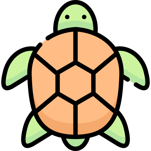 Turtle icon
