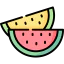 Watermelon 图标 64x64