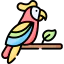 Parrot 图标 64x64