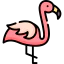 Flamingo 图标 64x64