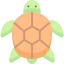 Turtle 상 64x64