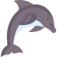 Dolphin 상 64x64