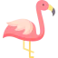 Flamingo 图标 64x64