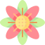 Flower іконка 64x64