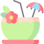 Coconut drink іконка 64x64