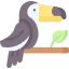 Toucan Ikona 64x64