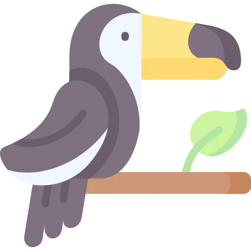 Toucan Symbol