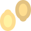 Pumpkin seed icon 64x64