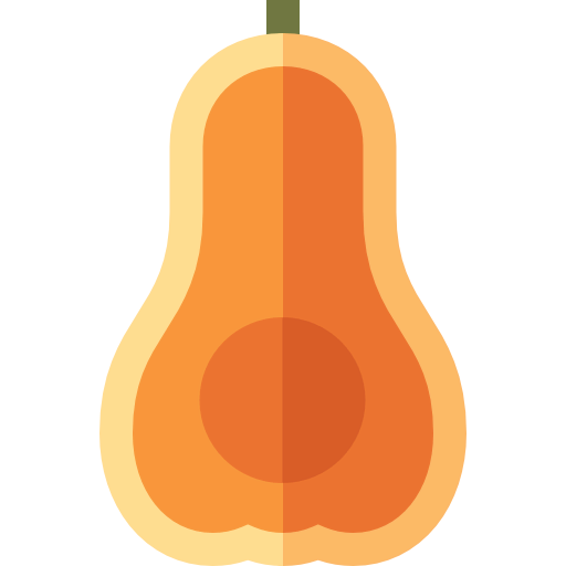 Butternut squash icon