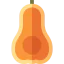 Butternut squash icon 64x64