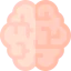 Brain icon 64x64