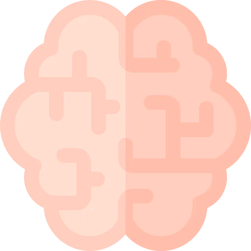 Brain icon