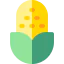 Corn 图标 64x64