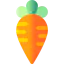 Carrot 图标 64x64