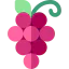 Grapes Symbol 64x64