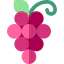 Grapes 图标 64x64