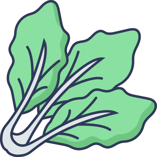 Cabbage icon