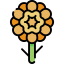 Marigold icon 64x64