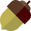Acorn icon 64x64